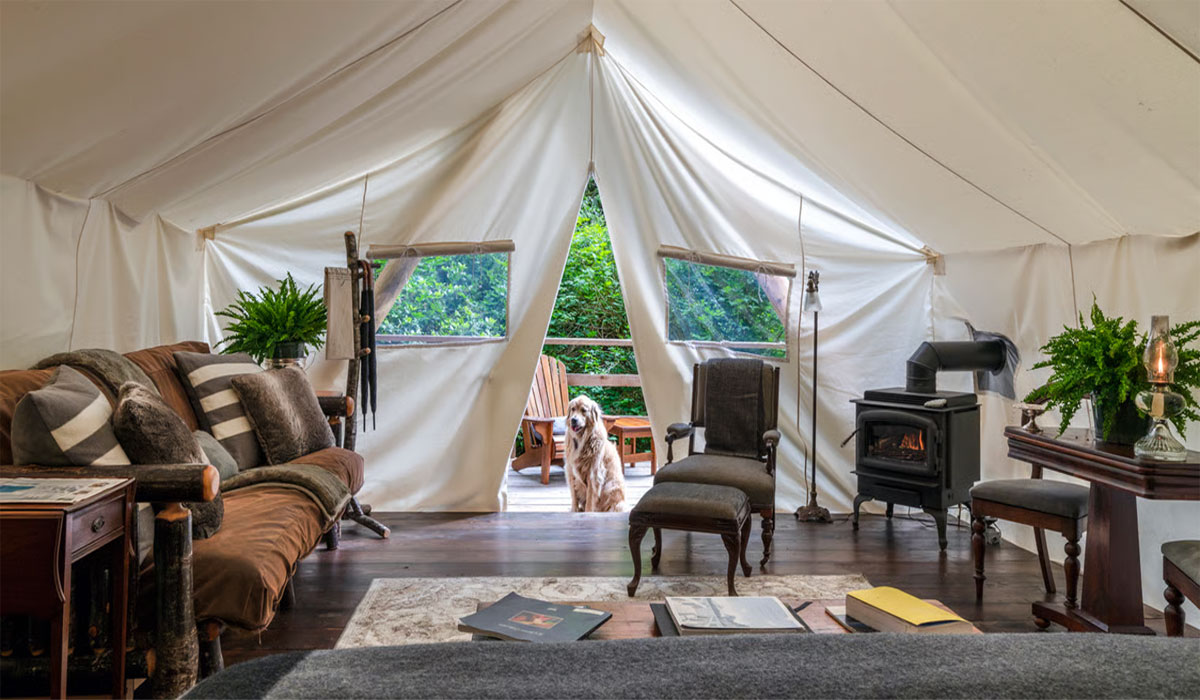 Beyond the Tent: Thrills and Tales from the Heart of the Wild