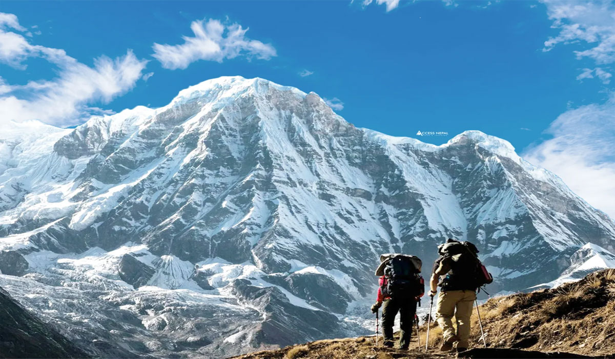 Into the Wild! Ultimate Camps & Adventure Guide for Thrill Seekers